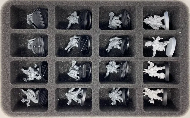 feldherr-foam-trays-hs045a013-schaumeinlage-blood-bowl-zwerge image 1