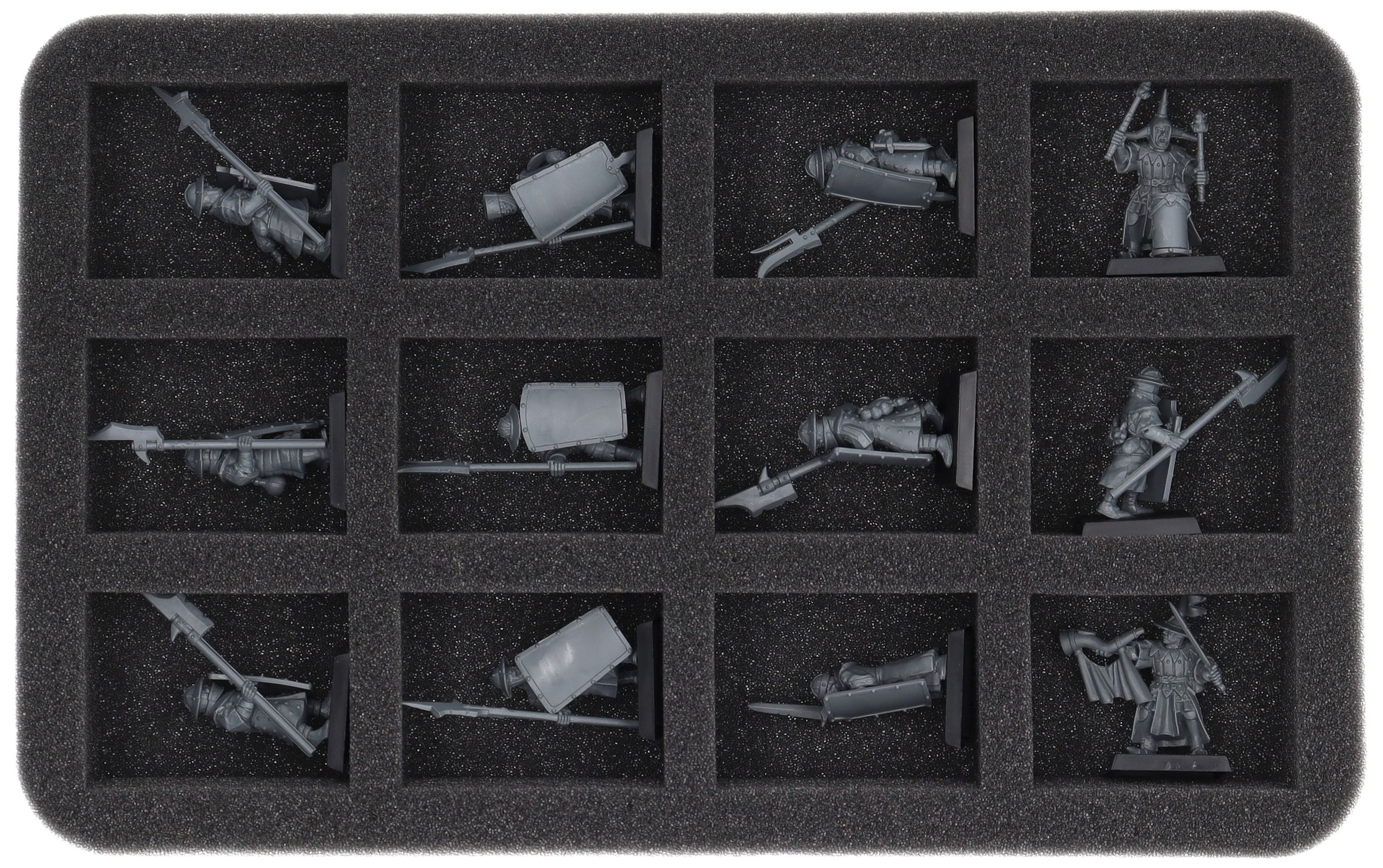 feldherr-foam-trays-hs040a047-schaumeinlage-bretonnia-12-f-cher image 1