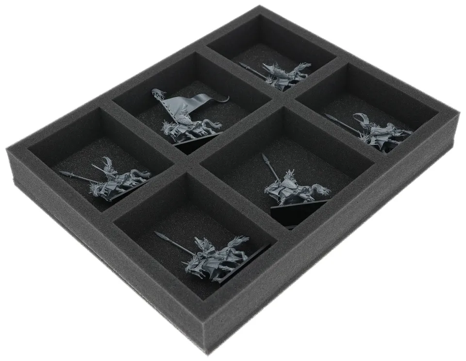 feldherr-foam-trays-fs050a131-einlage-high-elf-realms-6-f-cher image 1