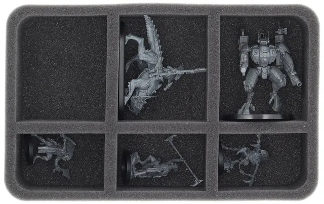 feldherr-foam-trays-hs070a059-schaumeinlage-t-au-empire-6-f-cher image 1