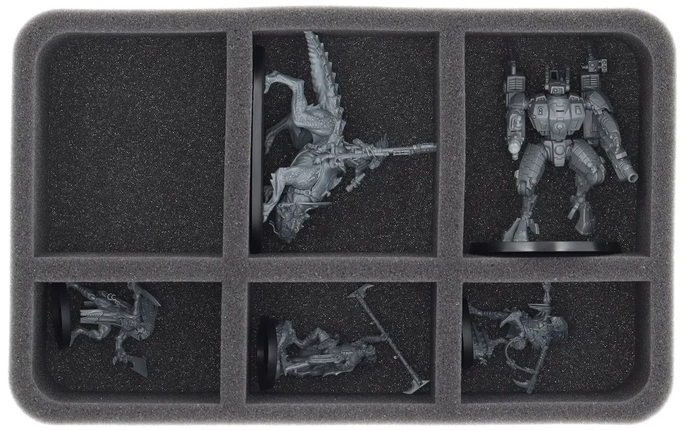 feldherr-foam-trays-hs070a059-schaumeinlage-t-au-empire-6-f-cher image 1