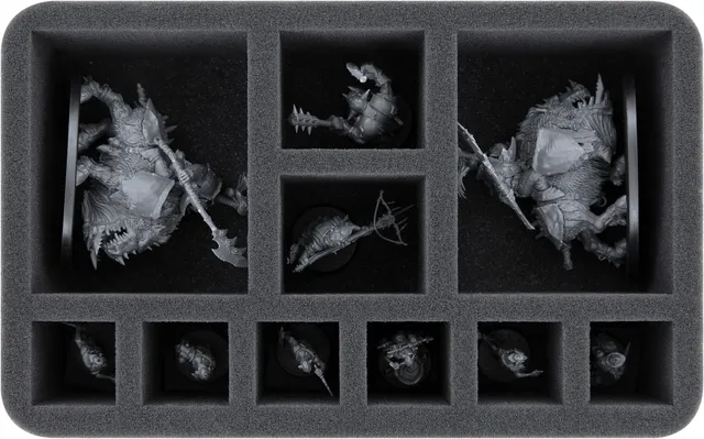 feldherr-foam-trays-hs070a034-schaumstoffeinlage-orruk-10-f-cher image 1