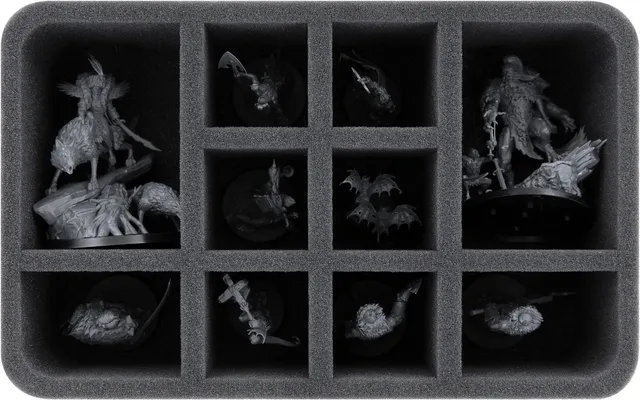 feldherr-foam-trays-hs080a008-einlage-soulblight-10-f-cher image 1