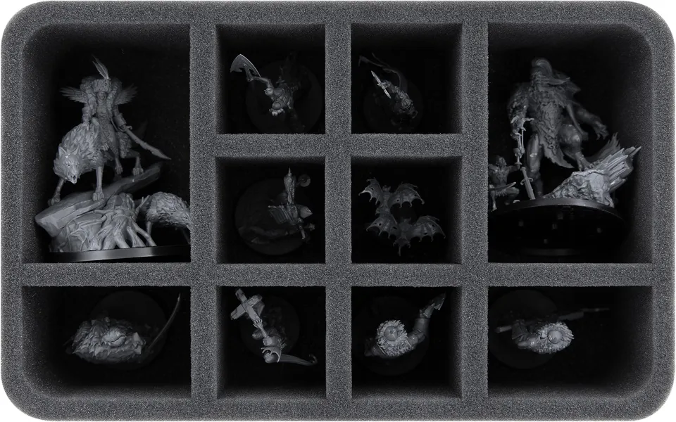 feldherr-foam-trays-hs080a008-einlage-soulblight-10-f-cher image 1