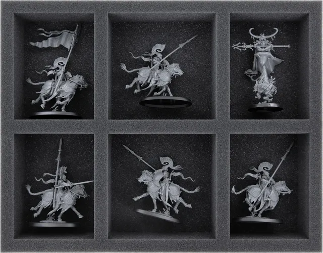 feldherr-foam-trays-fs050a037-einlage-lumineth-realm-lords-6er image 1
