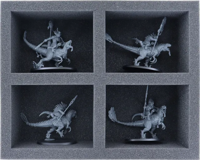 feldherr-foam-trays-fs080a013-schaumstoffeinlage-seraphon-4-f-cher image 1