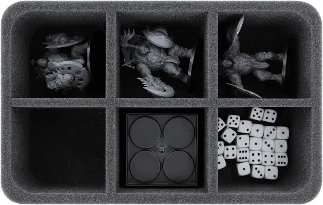 feldherr-foam-trays-hs085a012-schaumstoffeinsatz-conquest-6-f-cher image 1