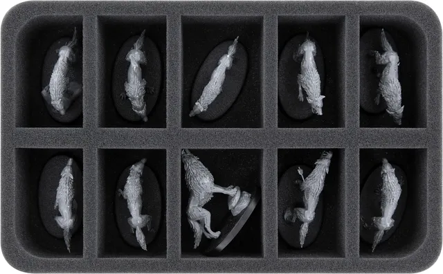 feldherr-foam-trays-hs050a077-einlage-soulblight-gravelords-w-lfe image 1