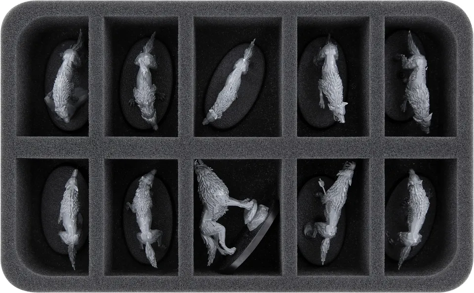 feldherr-foam-trays-hs050a077-einlage-soulblight-gravelords-w-lfe image 1