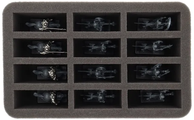 feldherr-foam-trays-hs110a011-schaumstoff-bretonnia-12er image 1