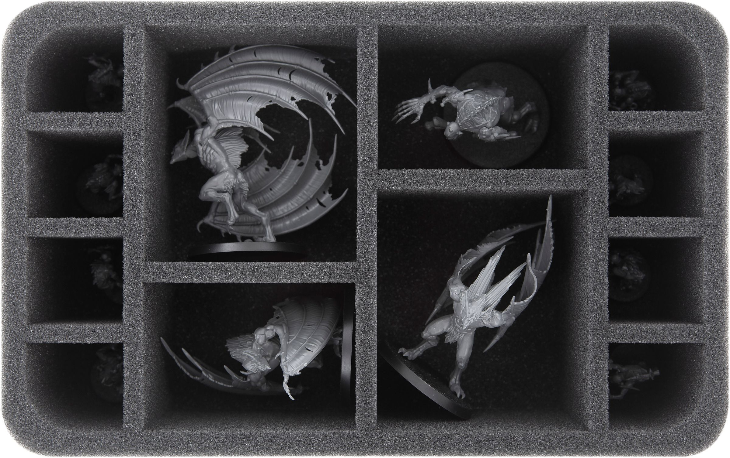 feldherr-foam-trays-hs075a028-schaumstoffeinlage-soulblight-12-f-cher image 1
