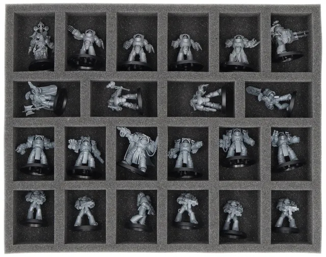 feldherr-foam-trays-fs050117-schaumstoffeinlage-22-f-cher image 1