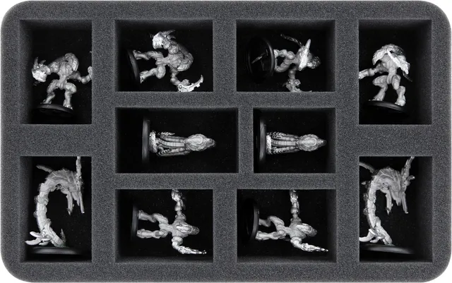 feldherr-foam-trays-hs050a085-einlage-f-r-warcaster-10-figuren image 1